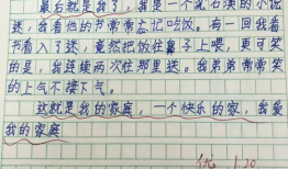 漫画作文600字优秀作文,一篇600字优秀作文的副标题