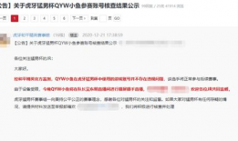 k91直播开挂自证,自证清白背后的真相与争议